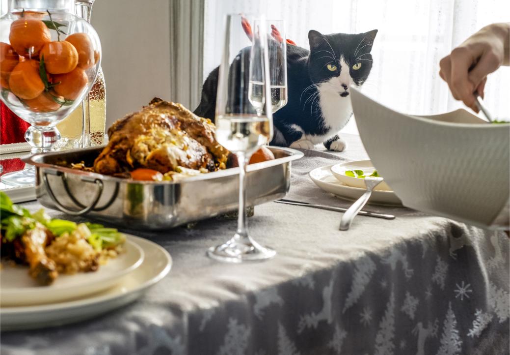 Hosting a Pet-Safe Thanksgiving