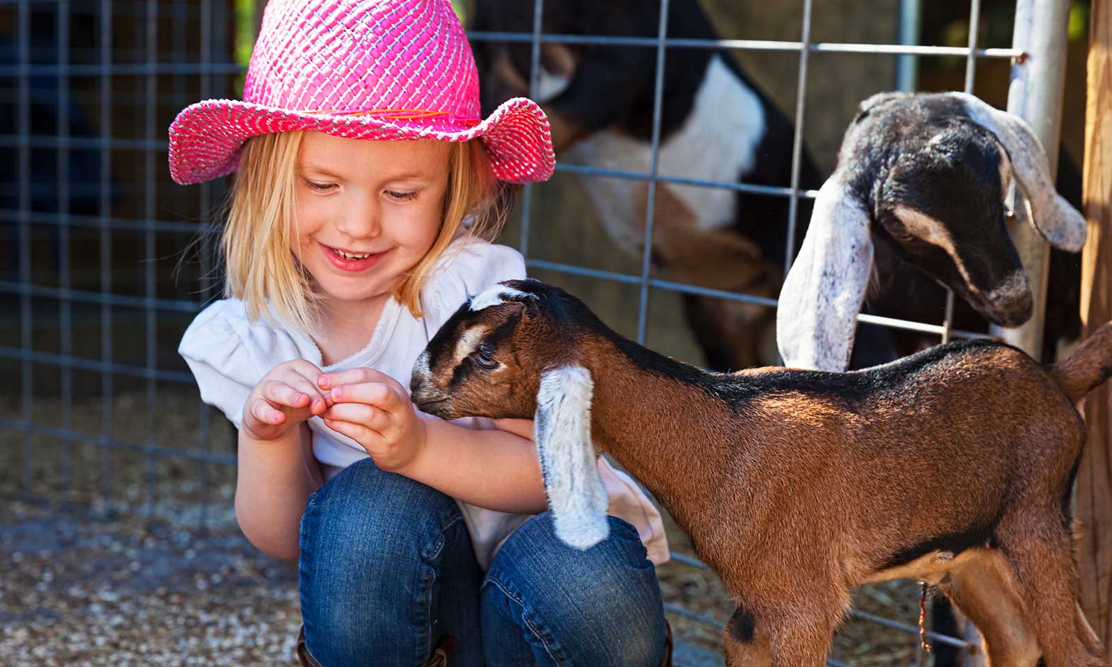 Girl with goat