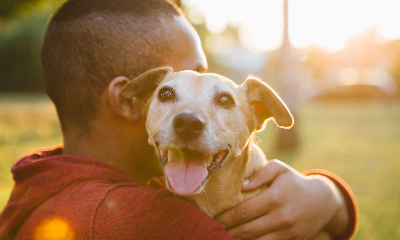 A dog being hugged while happy outdoors