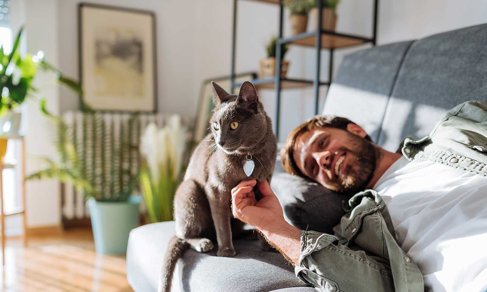 Cat with man