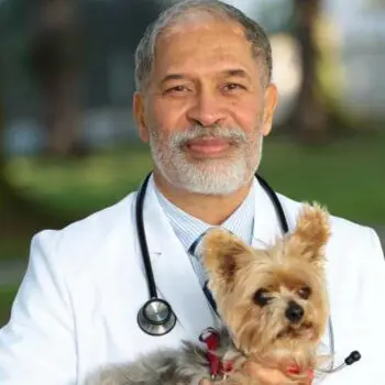 Dr. Dhanoa holding small dog patient