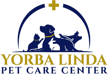 Pet care center logo design