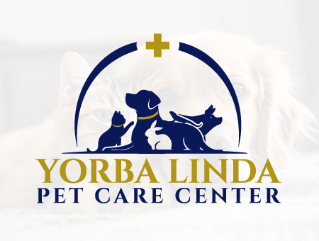 Veterinary care services logo design