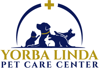Pet care center logo design